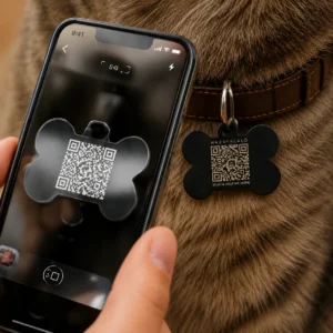 bileta-qr